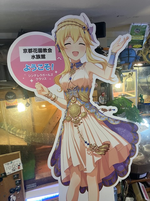 miyako_eco's tweet photo. 京エコロジーセンターイメージキャラクター『ちきゅまる』が、京都花園教会水族館さん（@mokusokai） のクラリスさんのパネルに、会いに行きました♪

★京エコロジーセンターには、山下次郎さんのパネルを設置中！
　京都駅から約40分。京都市青少年科学センターの隣です‼

#オファマスinfo #idolmaster
#京エコロジーセンター #エコセン #京都市青少年科学センター
#京都花園教会水族館
#スタッフ投稿
