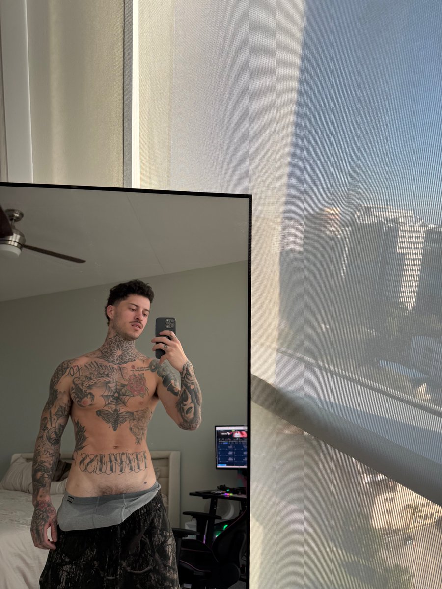 Dev (@dutchraven) / Posts / X
