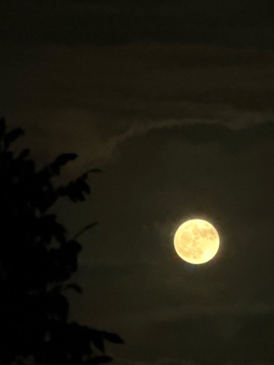 maryjanesfaded's tweet photo. the 🍓full moon https://t.co/pSuRXYY1ag