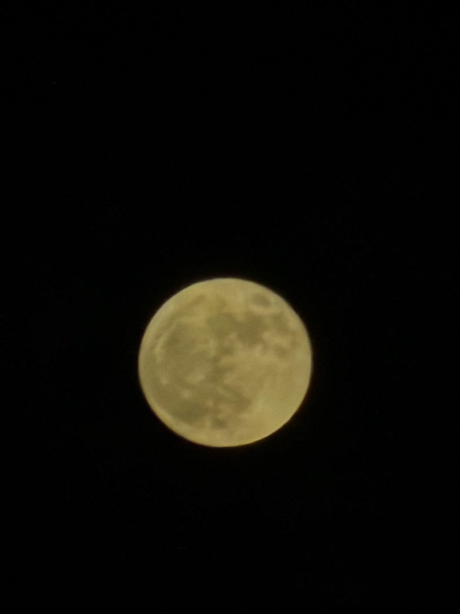 maryjanesfaded's tweet photo. the 🍓full moon https://t.co/pSuRXYY1ag