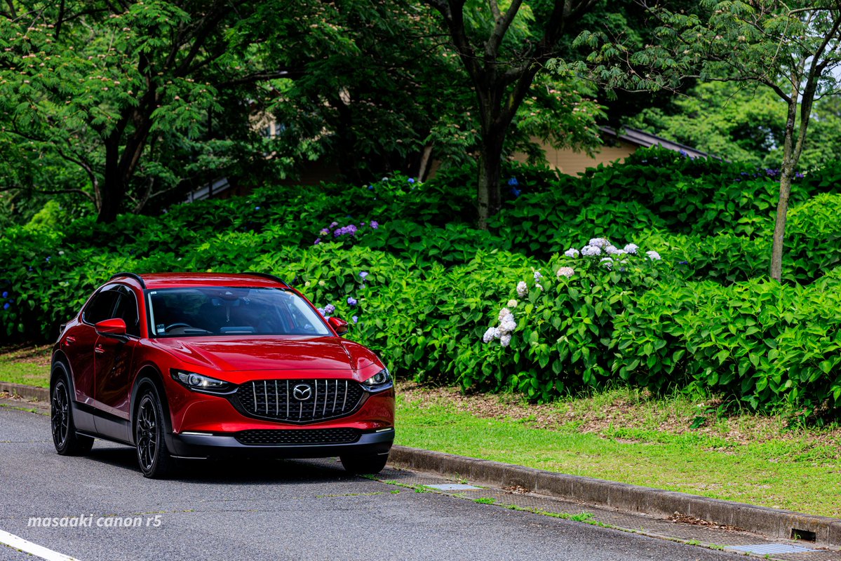 sypher0202's tweet photo. 洗車終わったので
パシャリんこ📸✨
#30day
#cx30
#withmazda
#cx30普及委員会
gear : canon eos r5
lens : rf70-200mmf2.8 l is usm z
focal length : 135mm
#canon
#キヤノン党で褒め合いたい
#my_eos_photo https://t.co/isSduRrnyS