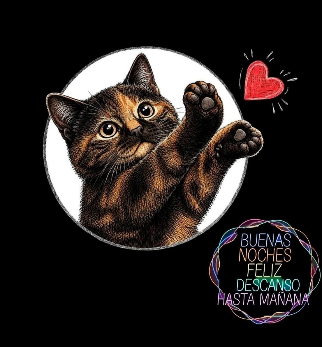 ManuSaenzVolvio's tweet photo. Hasta mañana amigos!
Feliz descanso!
❤️ https://t.co/9lXlYPKXIj