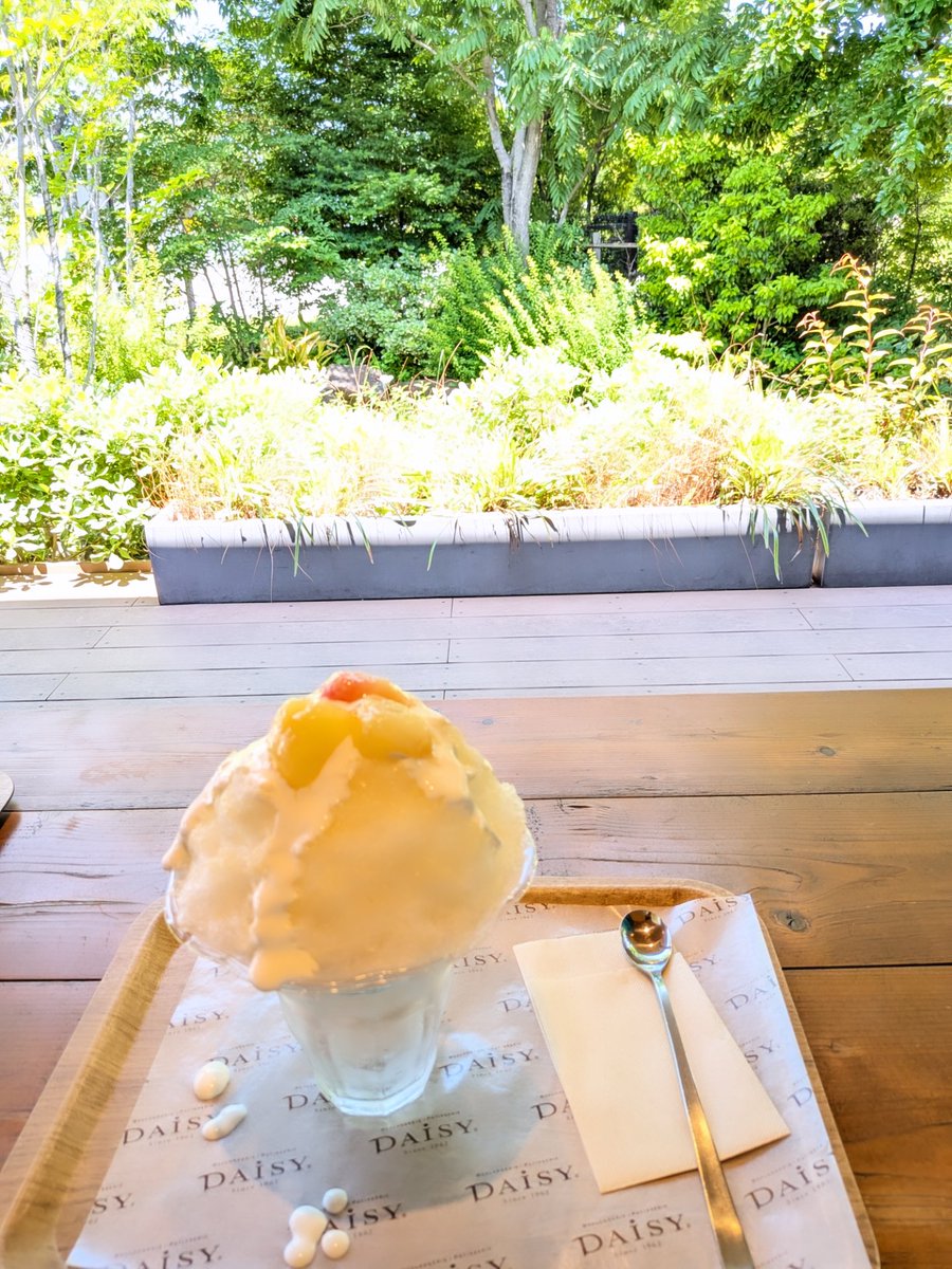mickeygasuki's tweet photo. パン屋さんへ🍞 
テラスでランチ🥐
桃のかき氷美味しかった🍑🍧　#DAiSY https://t.co/Fc3LZ8U2MB