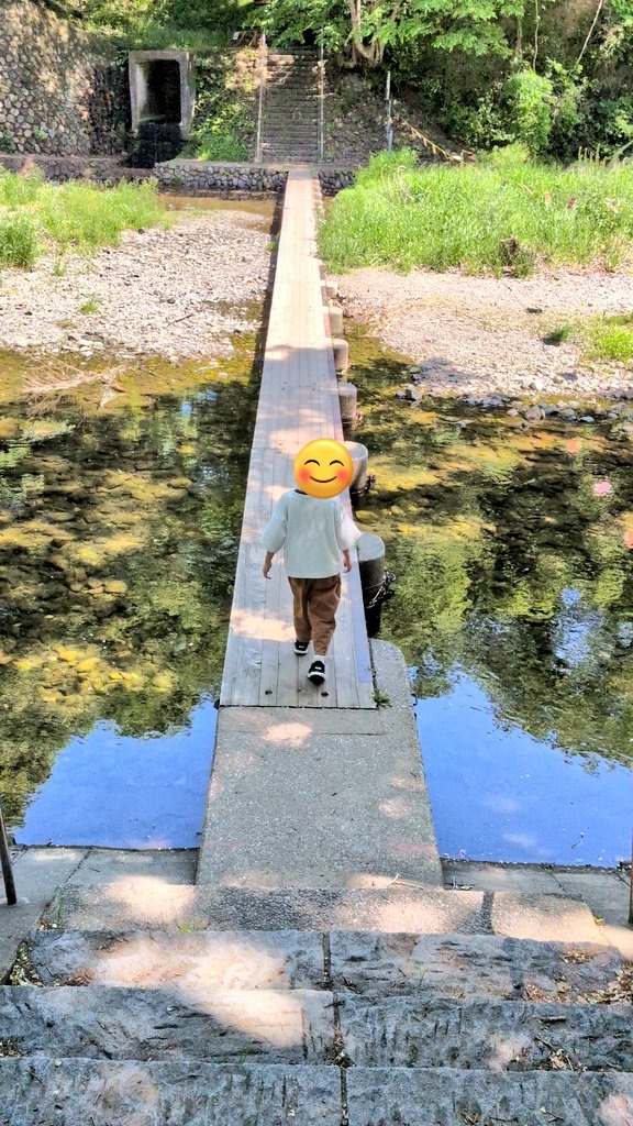 mickeygasuki's tweet photo. 綺麗な川でした🌳
 #巾着田 #飯能 https://t.co/eVhqEDgQsA