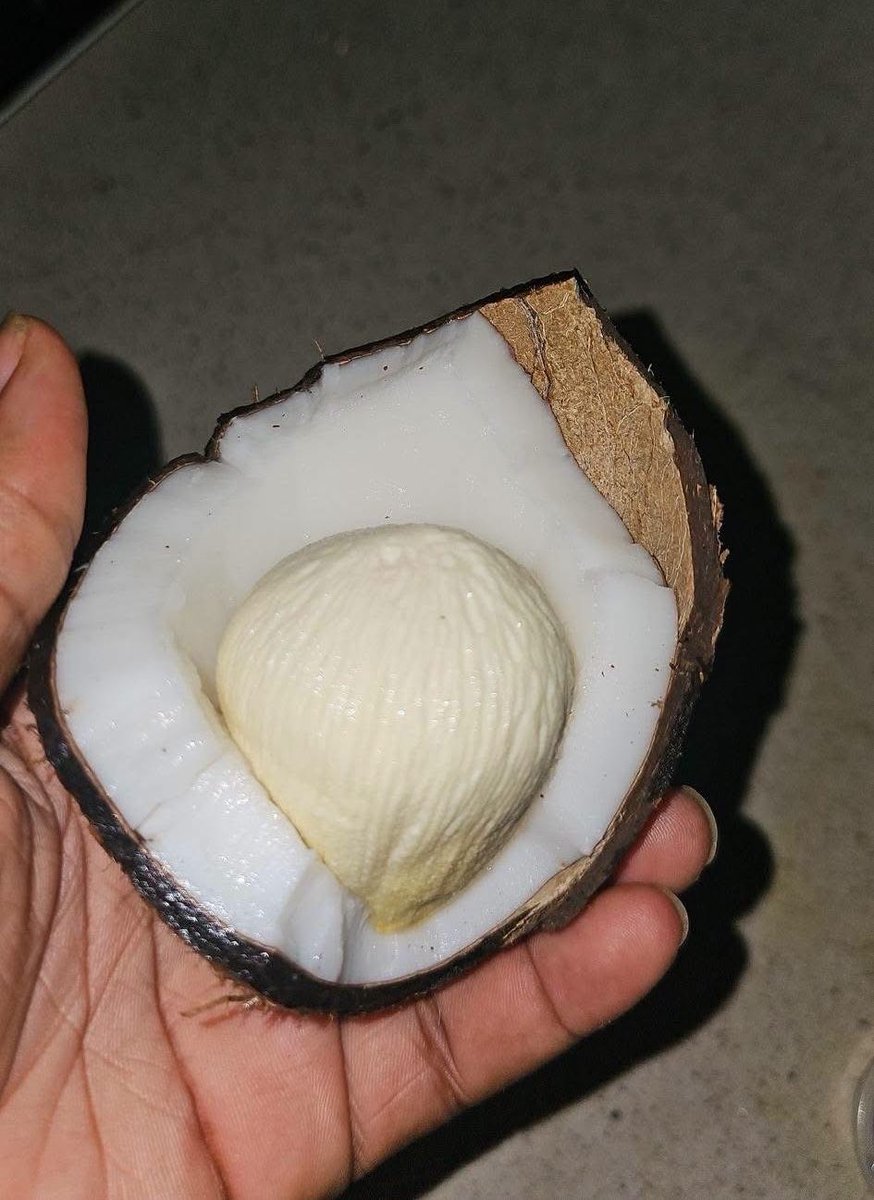 KLeeeyah's tweet photo. Guys!!! See what I found in my Coconut 🥥 🙆‍♀️
😳

Is this healthy???😩 https://t.co/nzUfZk2anT