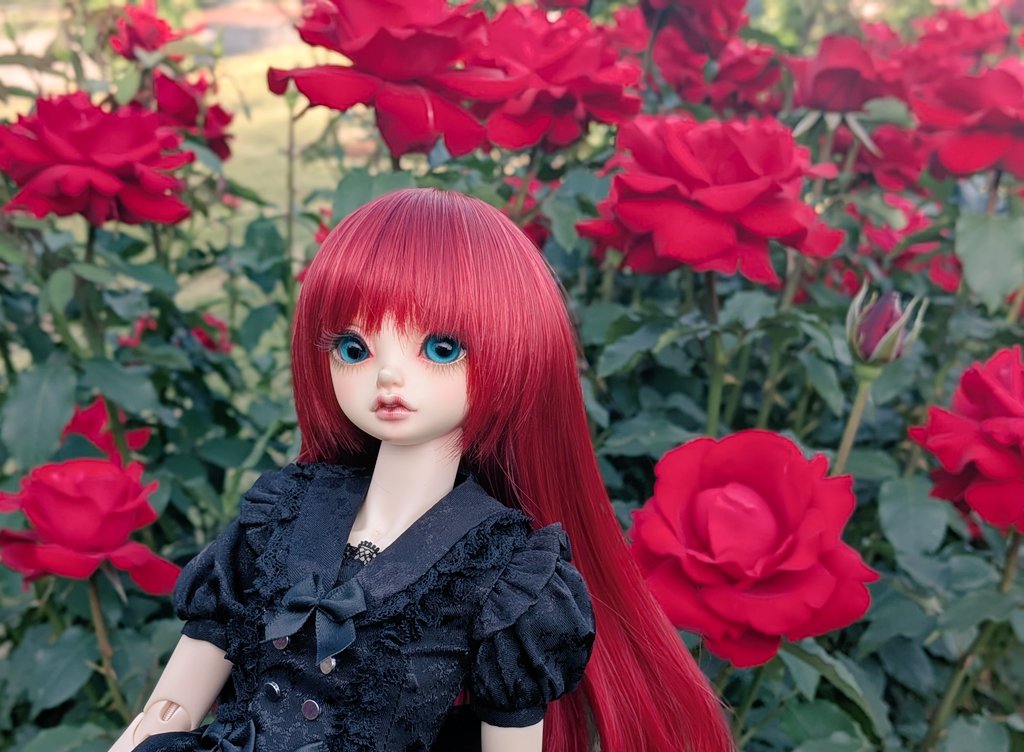 見た人はお花と写ったドール写真をアップする