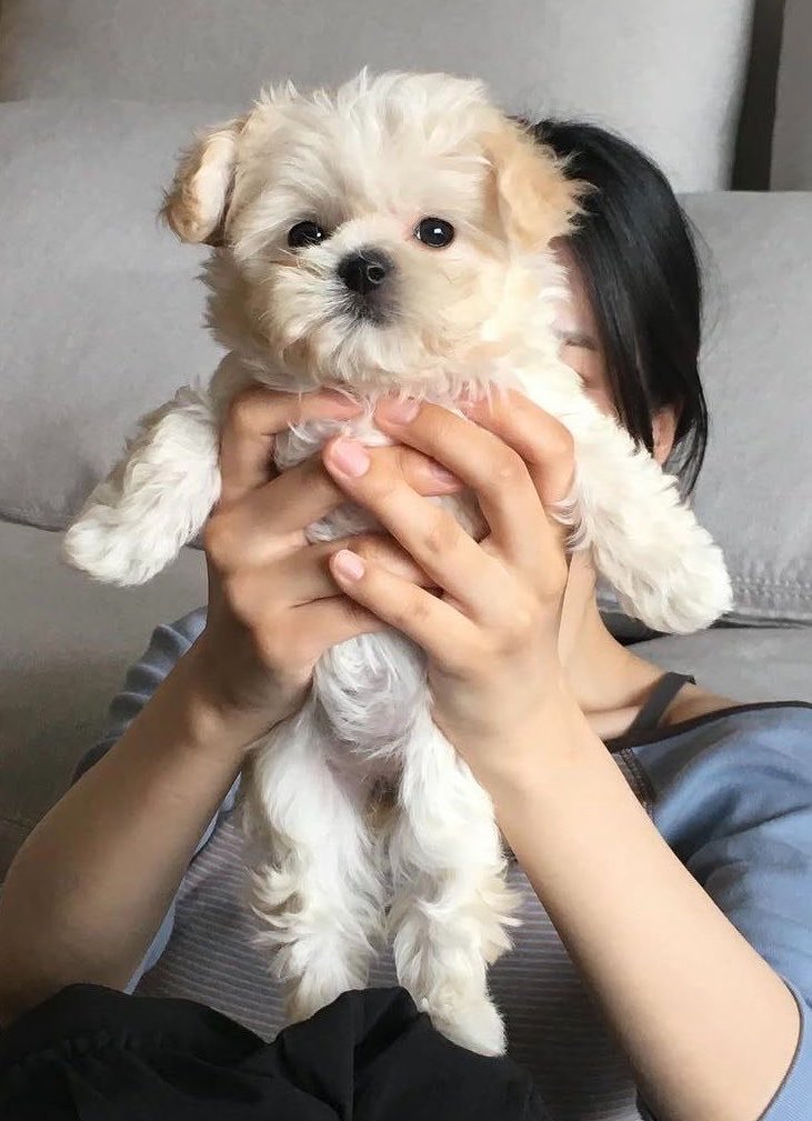 winterbearjm's tweet photo. https://t.co/77zduH0bdN