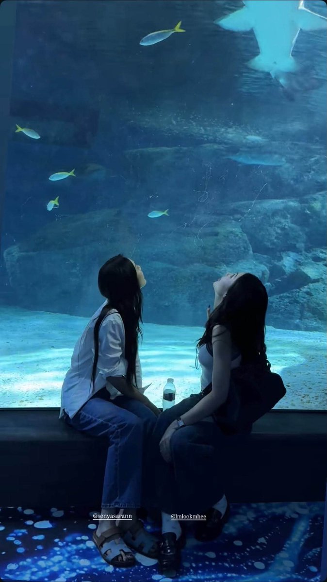 bealextran1's tweet photo. These are the moments I treasure the most 💖
 LMSY are enjoying their time off, while I'm truly healing every time I saw them ✨💫
Thank you two sooo so much 🥺

#ลูกหมีซอนญ่า #LMSY 
#SonyaSaranphat 
#LMlookmhee https://t.co/44J7KlkNaV