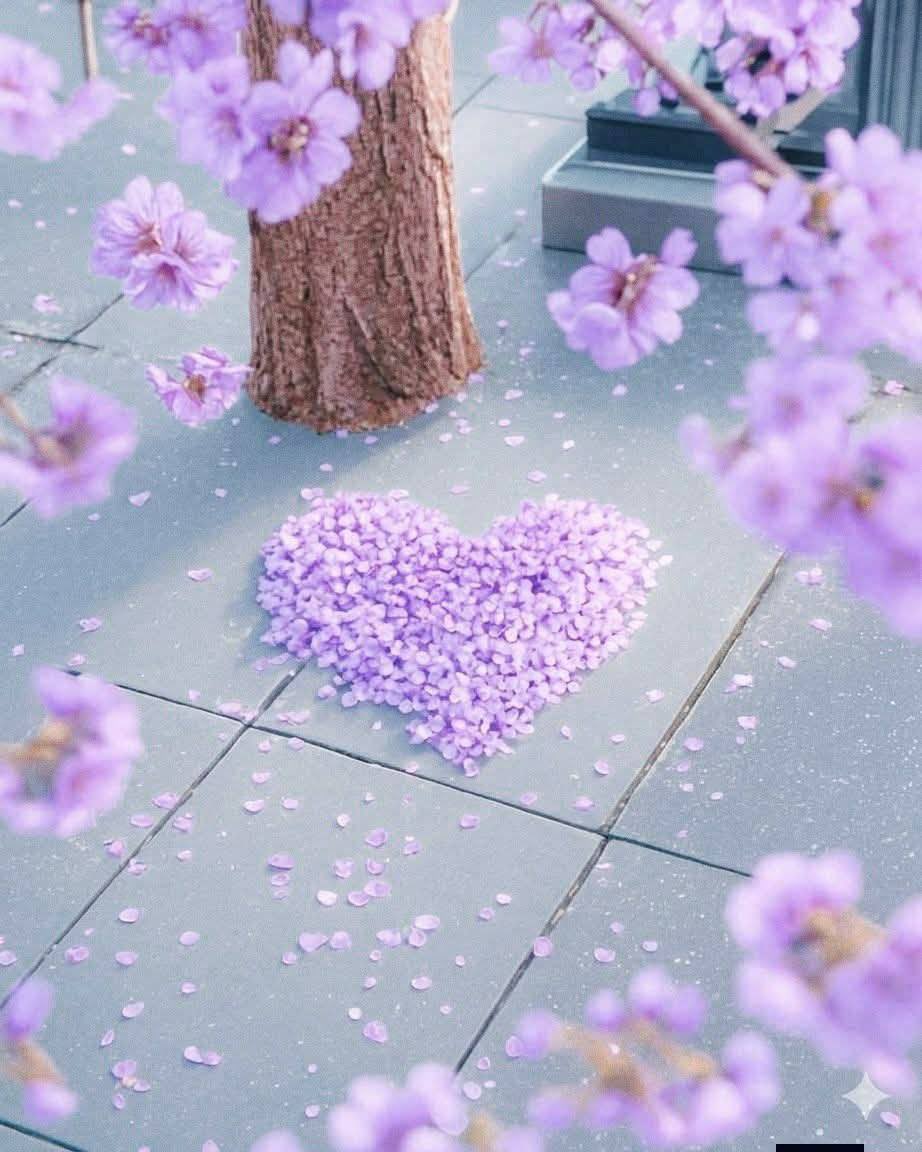 khwatr1O's tweet photo. عندما لا تعرف كيف تصف شعورك أو تدافع عن نفسك في لحظة أو موقف ما فاعلم أن لك قلباً بريئاً لم يتعلم خبث الحياة✨. https://t.co/2zpf1pRTCr
