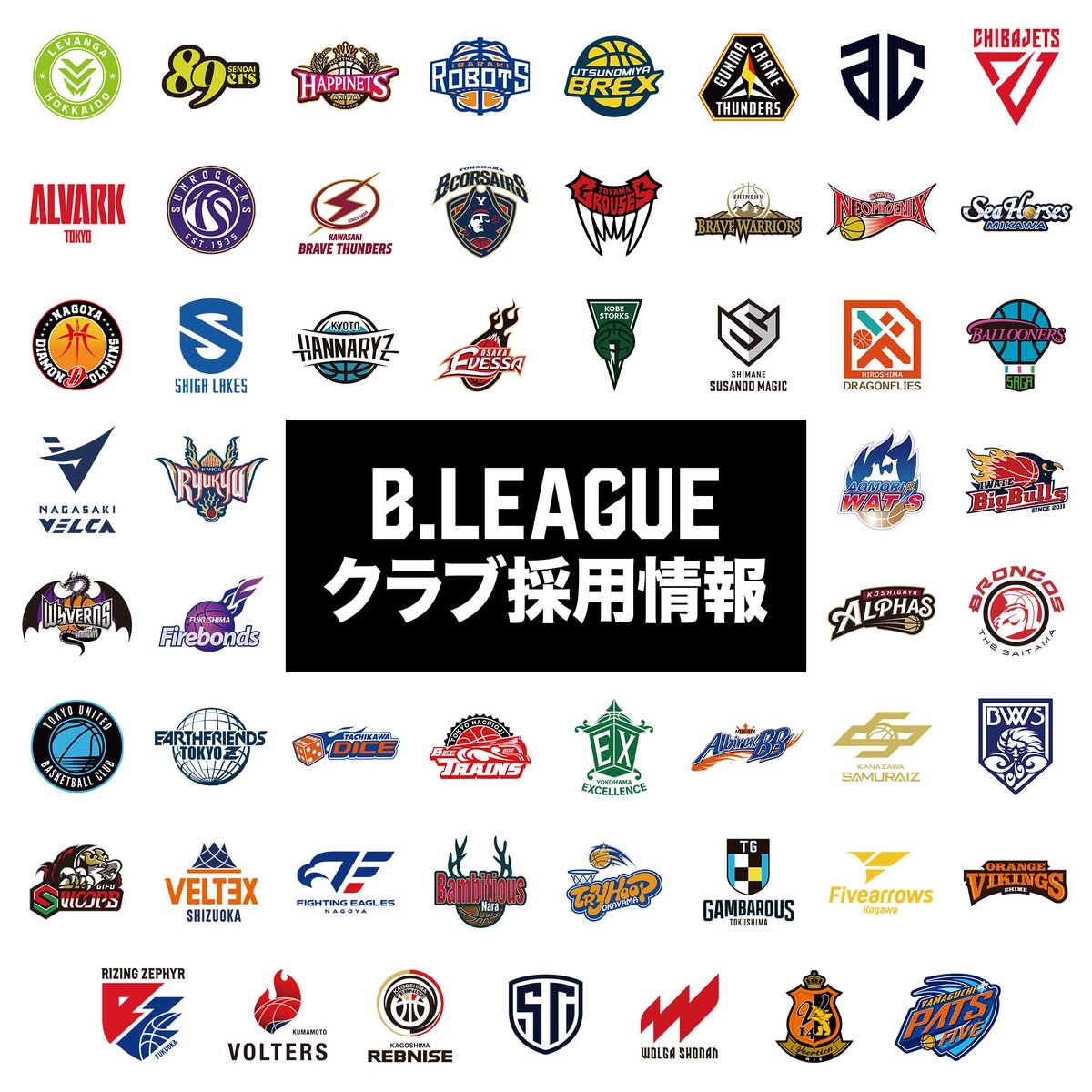 B_LEAGUE's tweet photo. 👨🏻‍💼採用情報👩🏻‍💼
B.LEAGUEクラブ採用情報を公開しました。
▶︎ https://t.co/c3kAHBVP7L 

【更新】
広島

#Bリーグ https://t.co/DWSN8rRABI