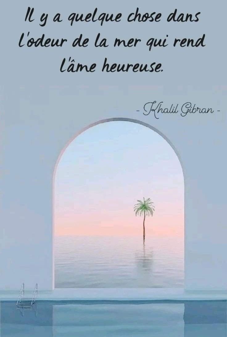 Laurentanney's tweet photo. Bonjour à vous, je vous souhaite une merveilleuse journée pleine de lumière 🙏☕🌞 https://t.co/1nONdfGRN8