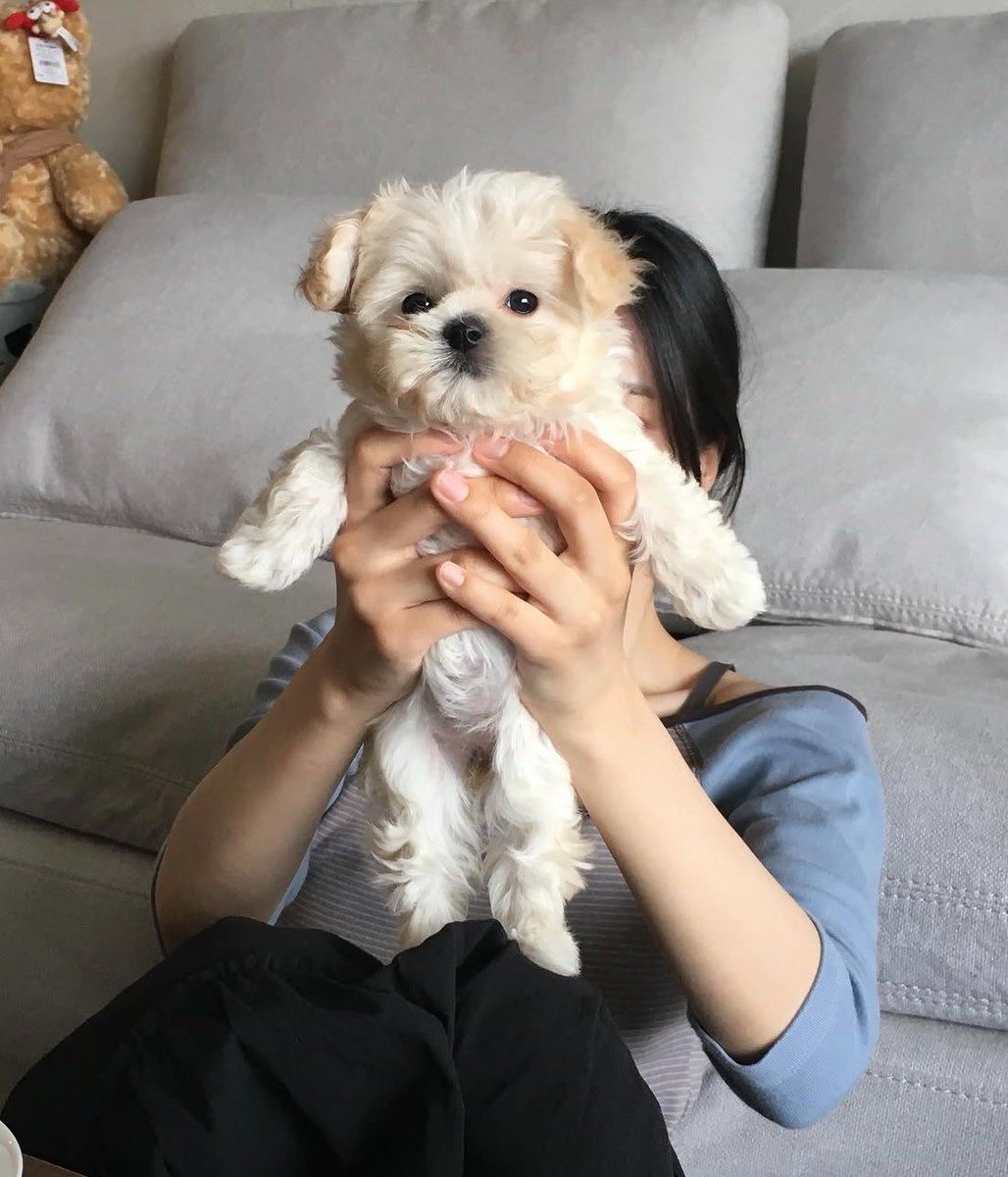 Azure_801_'s tweet photo. คุ้นๆ เหมือนเคยเห็นที่ไหน https://t.co/VZbjhDTlNg