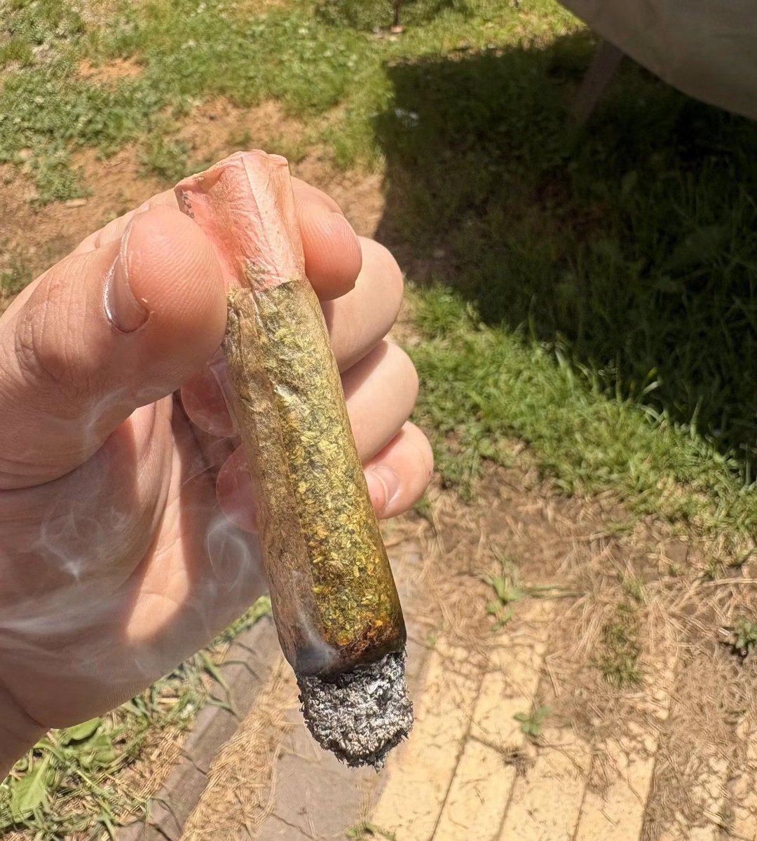 drkknigh's tweet photo. Do you smoke everyday💨

💲 https://t.co/iSGkfzgWAP