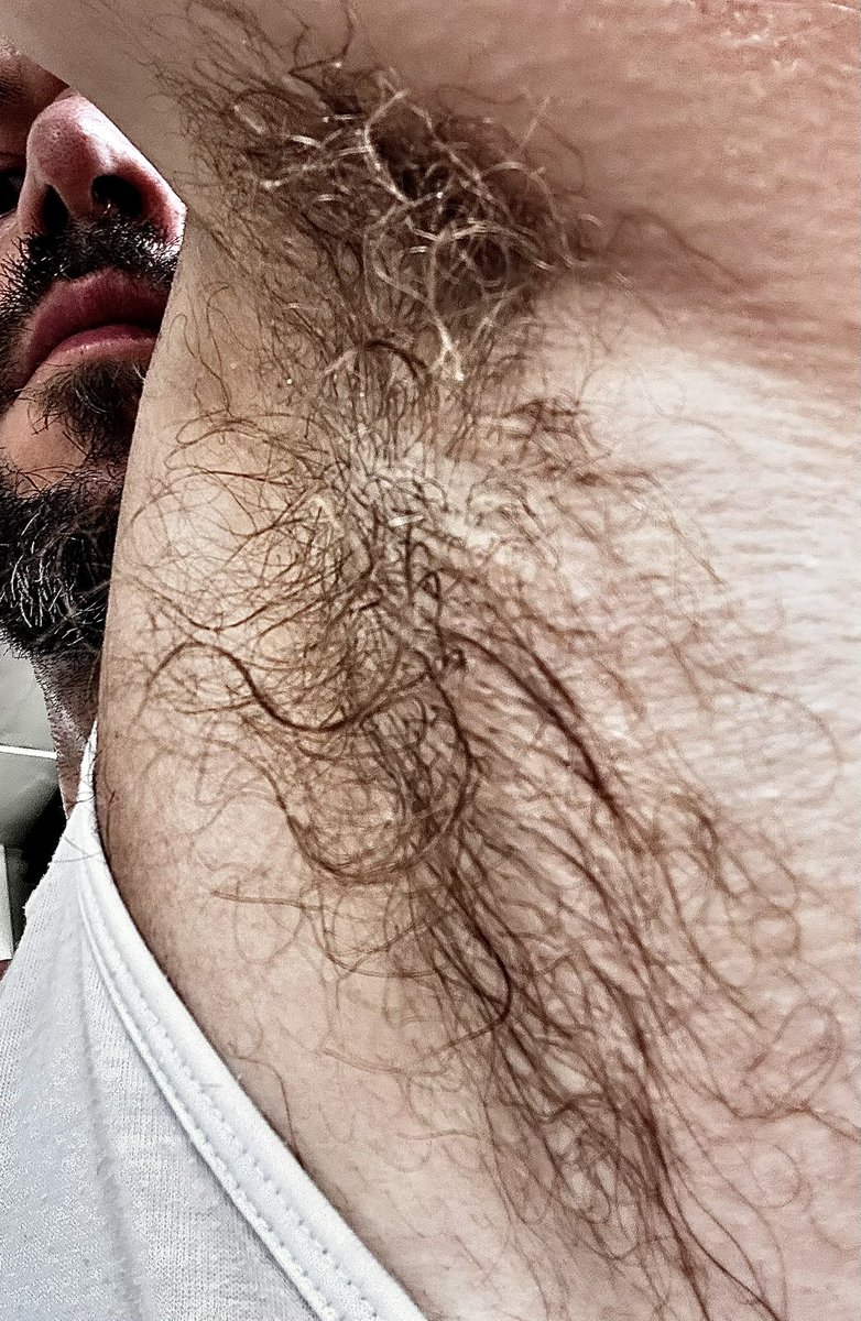 loco_peps's tweet photo. #pits #pit #armpit #hairy #male #manly #hairyarmpit #hairyblond #blondarmpit #sweat #malesweat #sovaco #achillas #sweatypit #musc #malemusc #musclefur https://t.co/yYLLAXOB9j