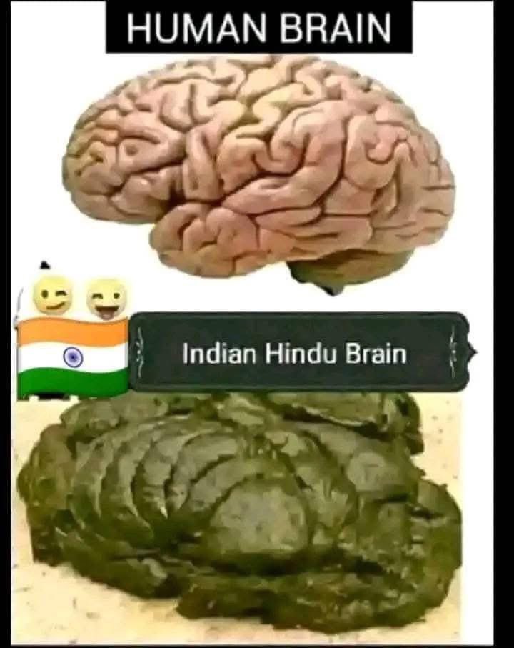 ghanta0's tweet photo. @Mrsinha Reality of Indians 👇👇👇 https://t.co/44nwggTP7k