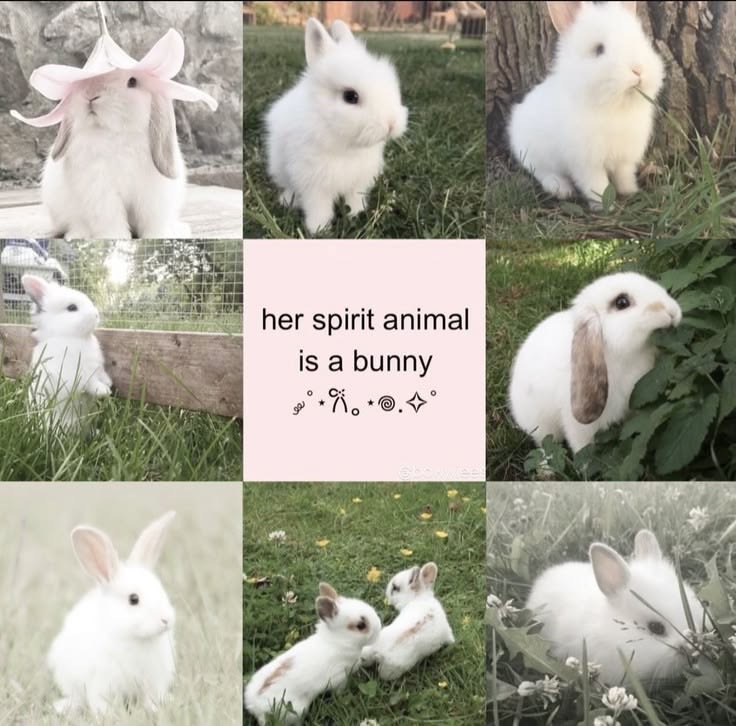 girlyStuff_Only's tweet photo. https://t.co/HyoXxovuEc