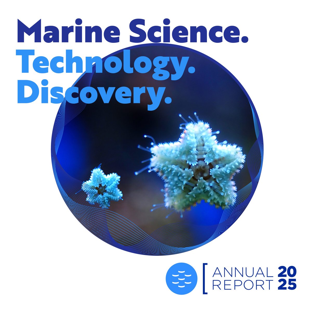 EMBRC_EU's tweet photo. A sustainable #BlueEconomy needs high-quality marine data, strong research infrastructure, & scientific expertise

Our 2025 Annual Report explores how EMBRC connects marine science, technology, discovery, innovation, & data with sustainability

Read the report here: https://t.co/zXqw5NDud9

#AnnualReport #MarineScience @embrc_gr @embrc_no @embrc_spain @embrcbelgium