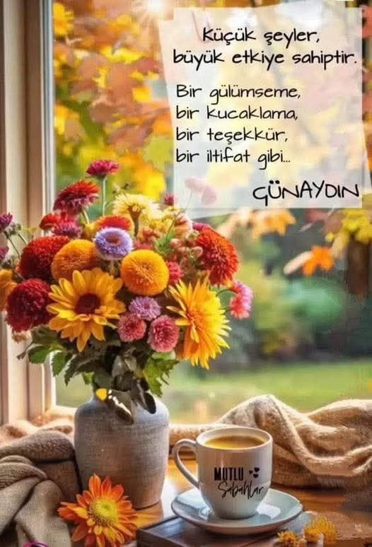 alp_all's tweet photo. https://t.co/CWRFaodRM6