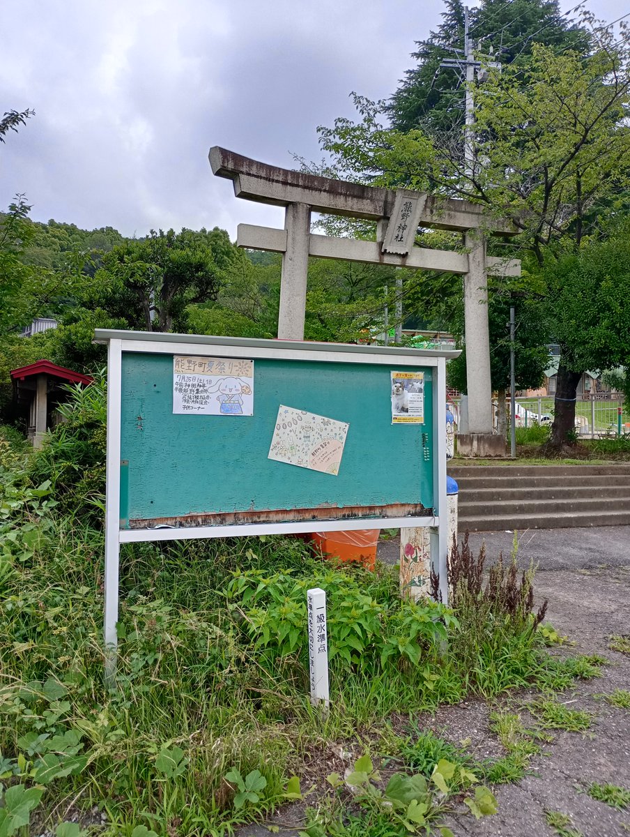 mzf_official's tweet photo. もうすぐ行方不明になってから6ヶ月です。

ご厚意に甘えて捜索のチラシを貼らせていただいておりますが、ご迷惑をお掛けし続ける訳にも行かないので、そろそろ剥がした方が良いのかな…と、考え始めております。

捜索はこれからも、見つかるまで諦めずに続けて行きます。

#猫
#迷子猫
#太田市 https://t.co/QsHjz3vNQd