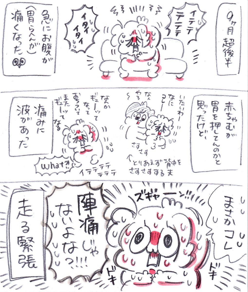 mt_mitty's tweet photo. 後期妊婦ちゃんの発見🤗 https://t.co/CZdpPSn3o6