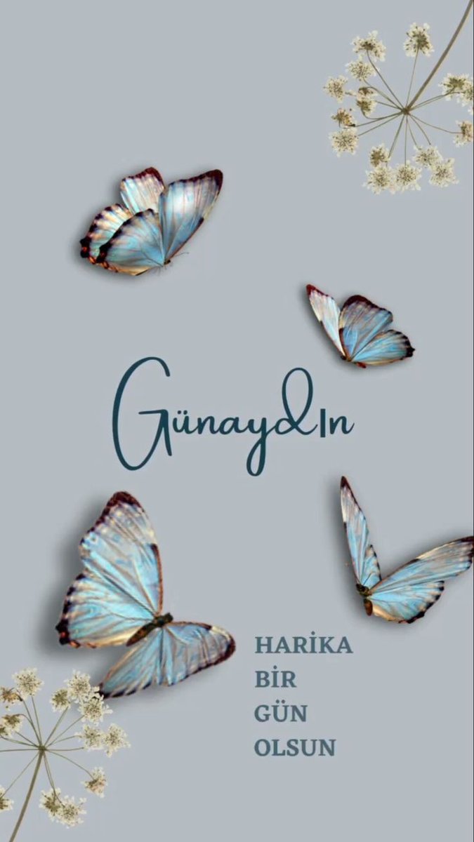 fusunsgk's tweet photo. Hakikatte zaten var olanı açığa çıkararak,
kim olduğun olmaya çalışmak...
#penceremden
#Günaydın 
#Hayat
#Salı https://t.co/OE75asbcmh
