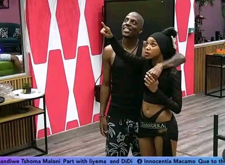 mondee_n's tweet photo. I don't regret choosing them 

My ThaMmeli 😍❤️❤️💃🏻💃🏻

WE CHOOSE THAMMELI 
THAMMELI THE POWER COUPLE

#ThaMmeli
#ThandekaAndMmeli https://t.co/FfDC0atkyr