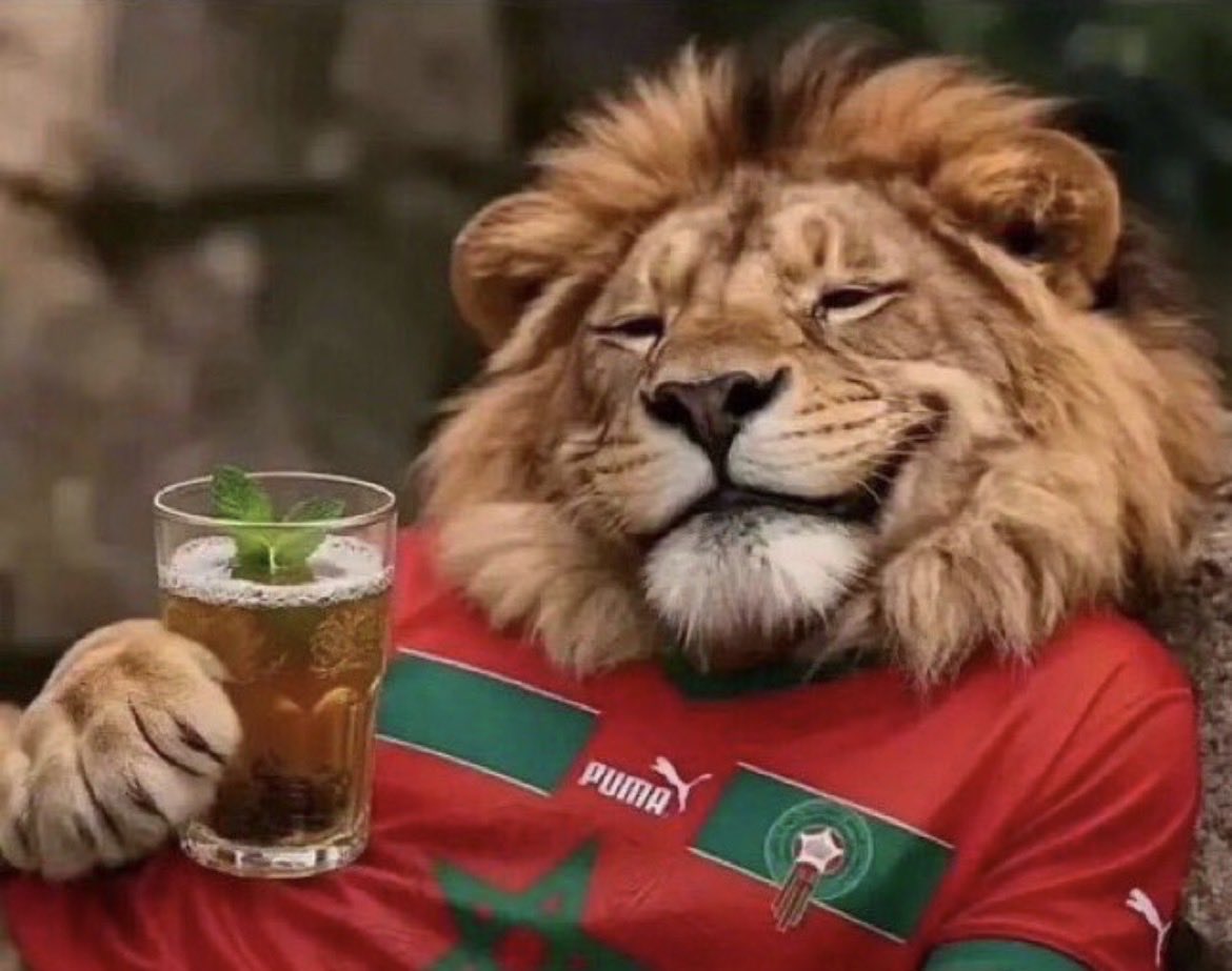 Ray4316Ray's tweet photo. @FOXSports @EnMaroc Cheers... https://t.co/8oI5ZoUAcE