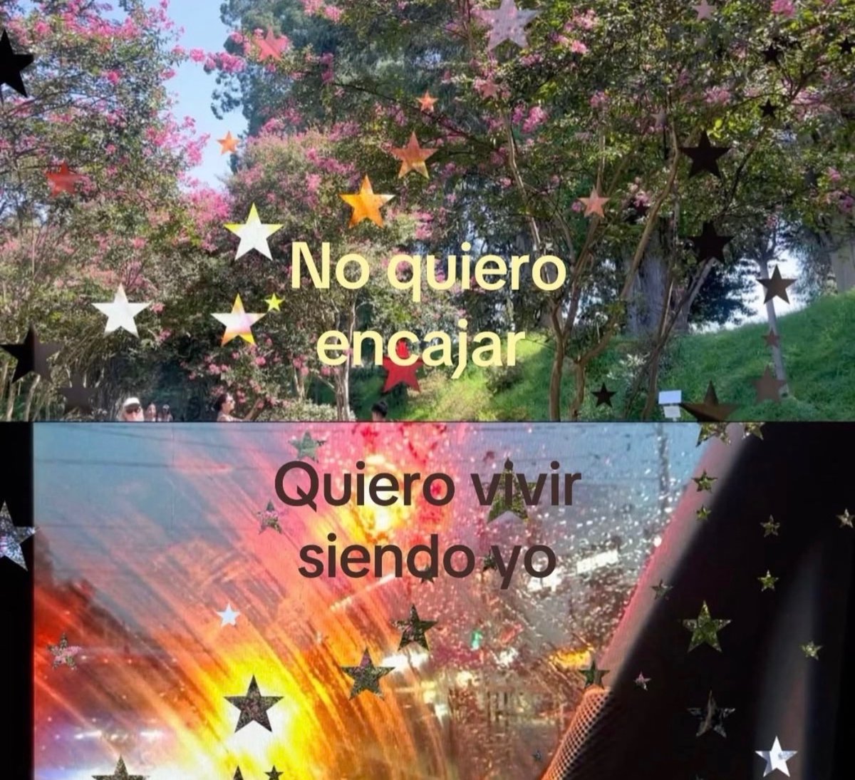 MundoDeBigotes's tweet photo. https://t.co/fSV1GqrfKe