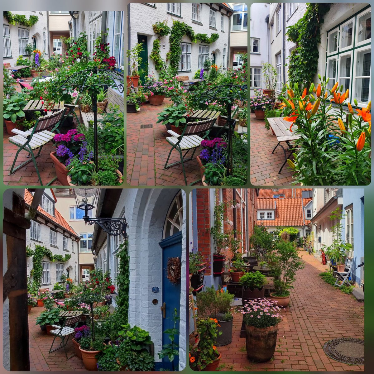 var223's tweet photo. Protège ton jardin secret, c'est la que poussent les fleurs.
Josiane Coeijmans

Joli mardi! 💕
#Secretgarden https://t.co/svsbQEyUGq