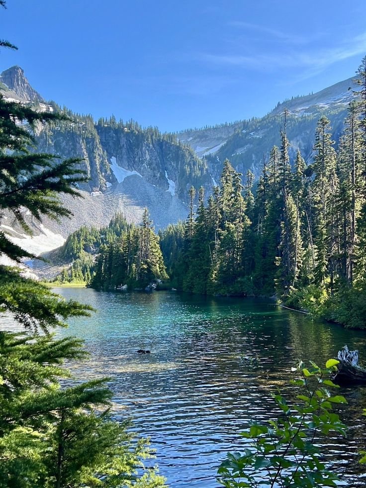 ab_cd_1235's tweet photo. Mount Rainier National Park 🏞️ https://t.co/OkpeyZwS24