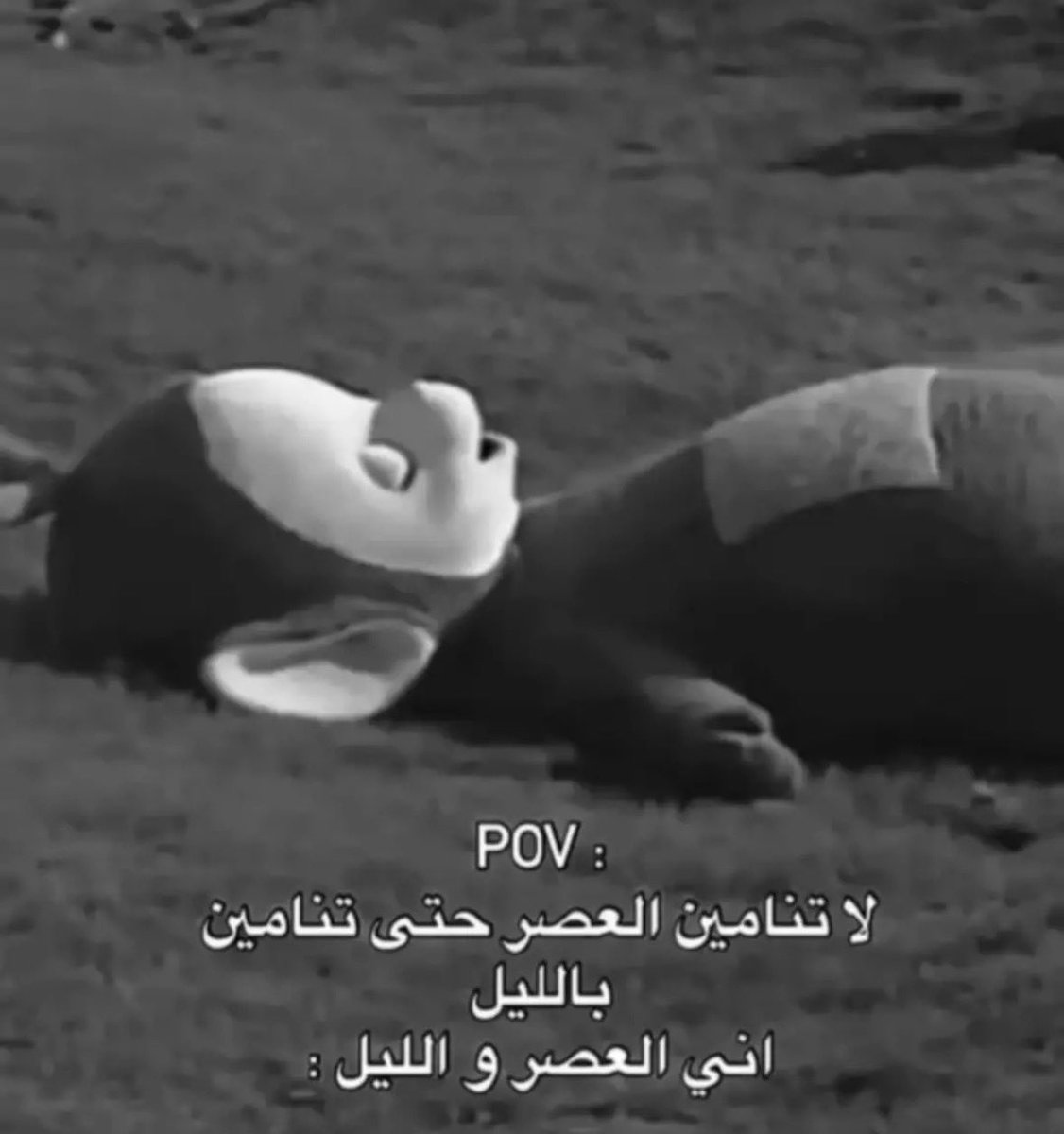 Asmatkb2w's tweet photo. حقيقي : https://t.co/PBSubLDJmt