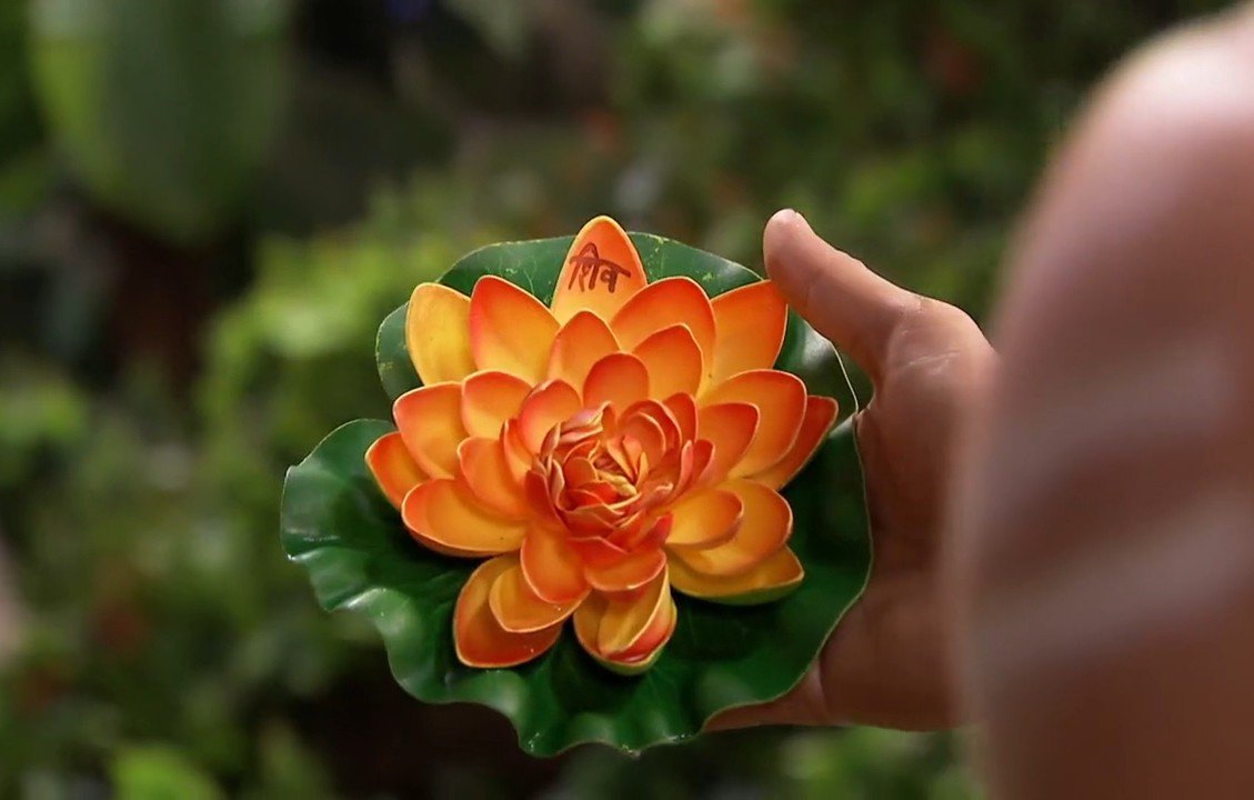 lostinsfictionn's tweet photo. even flowers whisper the memory of you https://t.co/WB8QGLclJg