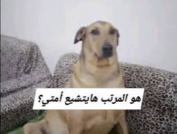 Mohmadelsaedy's tweet photo. https://t.co/g2DqcqCgtj
