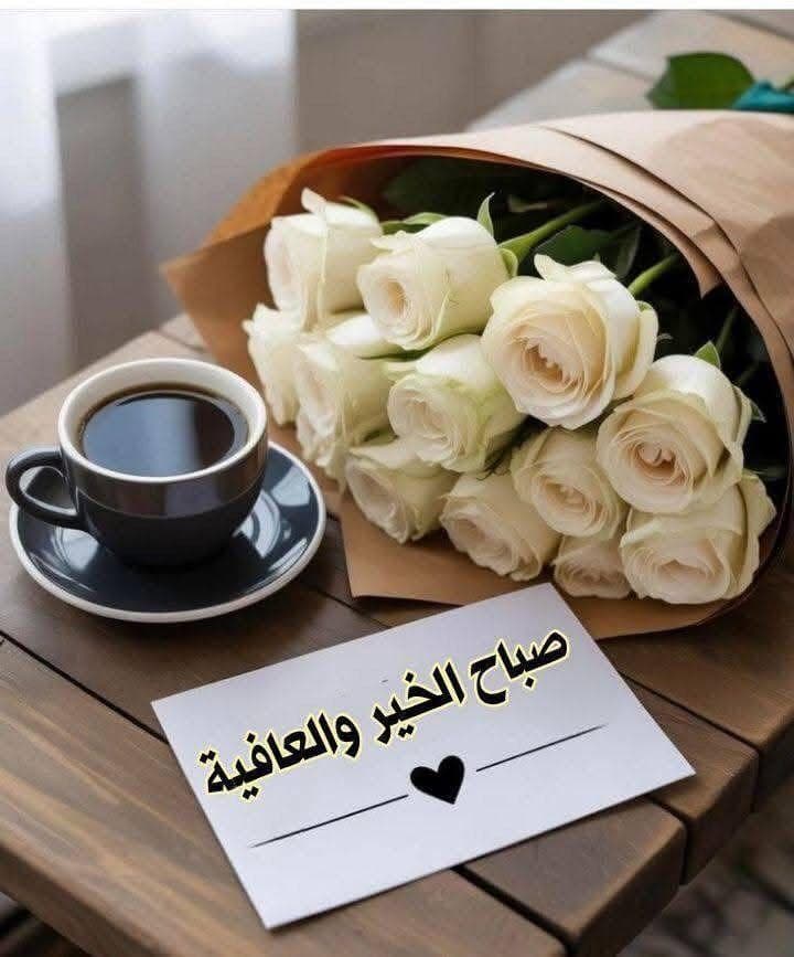 nawaralsafe's tweet photo. @azeez1965 https://t.co/OTBpud6jKh