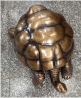 ANI's tweet photo. Gift given by PM Narendra Modi to the Seychelles President Dr Patrick Herminie: Muradabadi Brass Tortoise

The Muradabadi Brass Tortoise is a distinguished example of the renowned brassware tradition of Moradabad, Uttar Pradesh, celebrated globally as India’s “Brass City.” Handcrafted by skilled artisans, it showcases the region’s exceptional expertise in metal casting, engraving and finishing. Its finely detailed shell and lustrous finish reflect generations of craftsmanship.

In Indian philosophy, the tortoise is a timeless symbol of wisdom, stability, resilience and longevity. These ideals resonate deeply with Seychelles, whose natural heritage is inseparable from the iconic Aldabra Giant Tortoise, one of the world’s largest and longest-living tortoise species. The Muradabadi Brass Tortoise thus serves as a thoughtful symbol of India’s artisanal excellence and a symbol that holds special significance for Seychelles. It reflects the enduring friendship between the two nations, celebrating shared values of wisdom and harmony with nature.