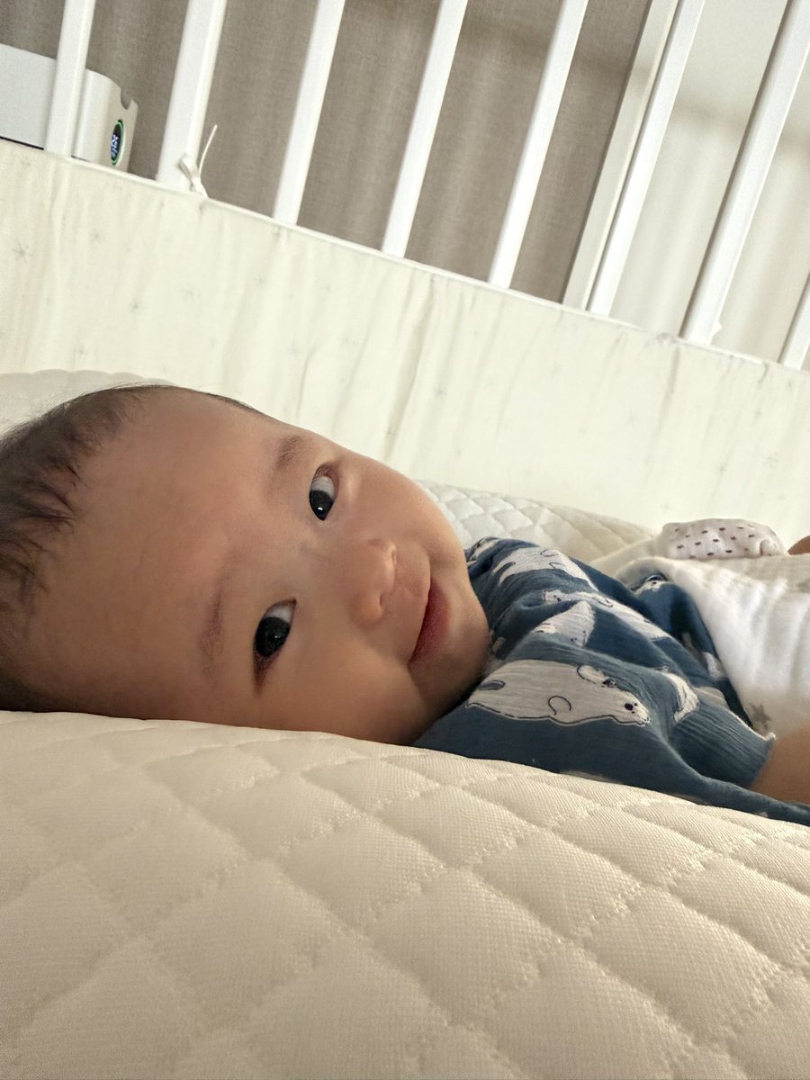 BASARU1984's tweet photo. 朝起きて横見たらこれ。
幸せな瞬間。 https://t.co/OIjXLeduil
