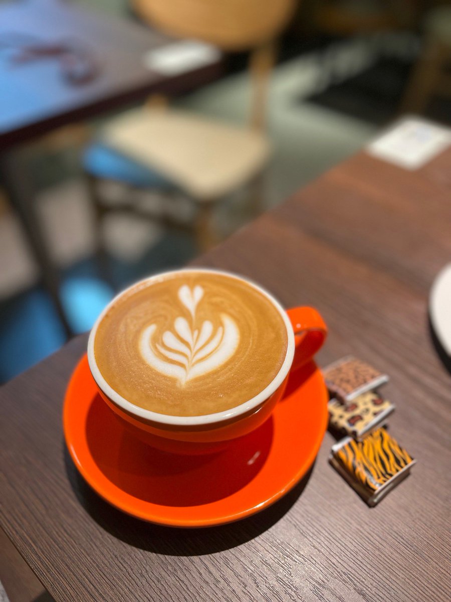 tadajijii's tweet photo. Had such a great chat over coffee with my old classmate today—laughing about our silly college days and catching up on all the little things. Reminds me that genuine connections are the best pick-me-up!， https://t.co/YgZXtJvVtb