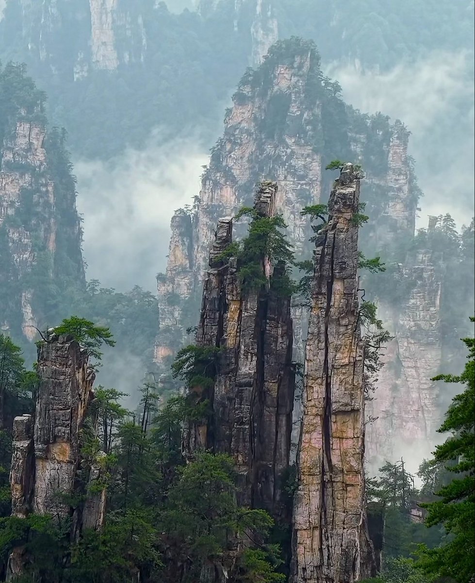 Lula881115's tweet photo. 奇峰栖云雾，一揽世间仙境🌫️
Stone peaks emerge from mist, nature’s hidden fairyland.
#张家界 #山水秘境 https://t.co/kynP4xnRgj