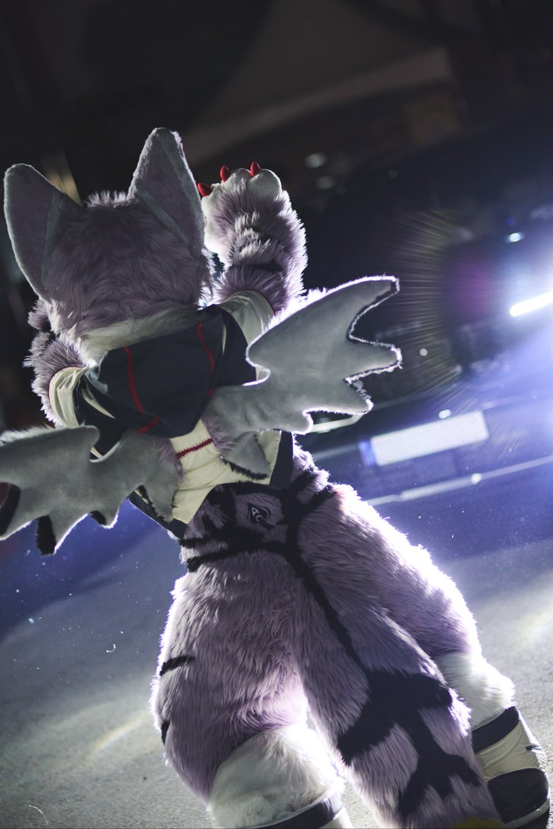 jido0914's tweet photo. 크크크.. 여긴 못찌 나간다!!
←～（o ｀▽´ )oΨ
#FursuitEveryday #Fursuit
#着ぐるみ https://t.co/ELGmeSymHu