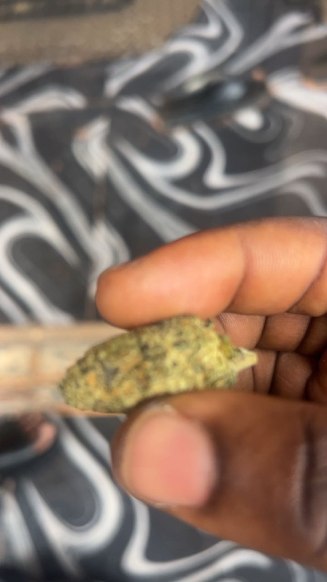 kelvin_blvck741's tweet photo. Good morning my mutuals,let connect 🤛🏿 first to wake and bake🍃🍁 https://t.co/4n8XiXvIK6