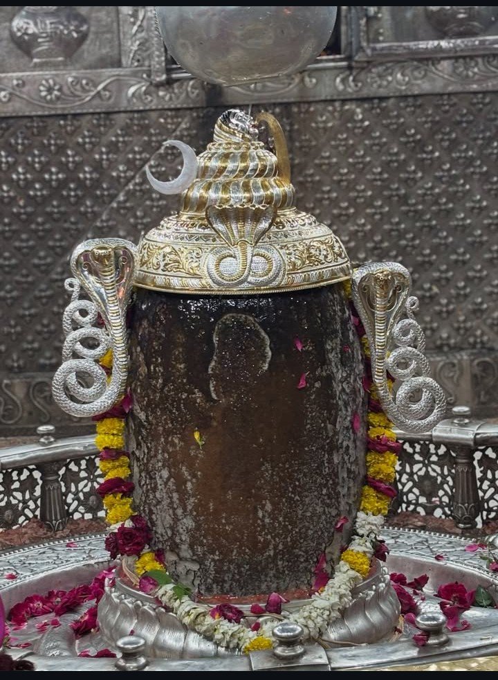 _vatsalasingh's tweet photo. सांब सदाशिव...🥺🙏 https://t.co/5UryUMB2D8