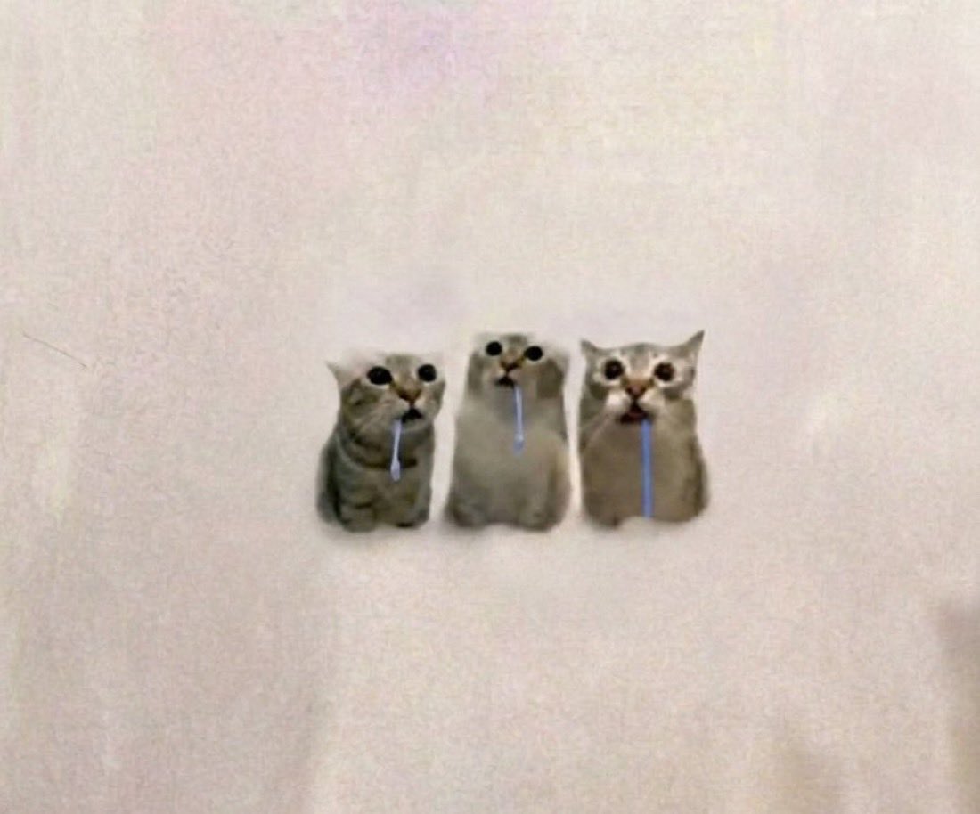 wifimoneykila's tweet photo. Thesis remains the same

Cycle needs a new cat coin

One to surpass all others

A cat that drools to green candles

A cat that the trenches need

$3. https://t.co/0UrSdapS96