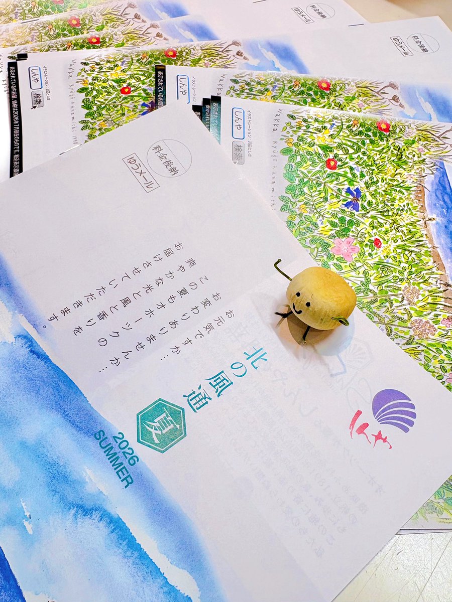 ohotukushinya's tweet photo. お待たせ致しました！
夏のパンフレットが出来上がりましたのでこれから皆様の元へお届けします🌻⋆*

もうしばらくお待ち下さい🙇‍♀️ https://t.co/tKcVibicUK