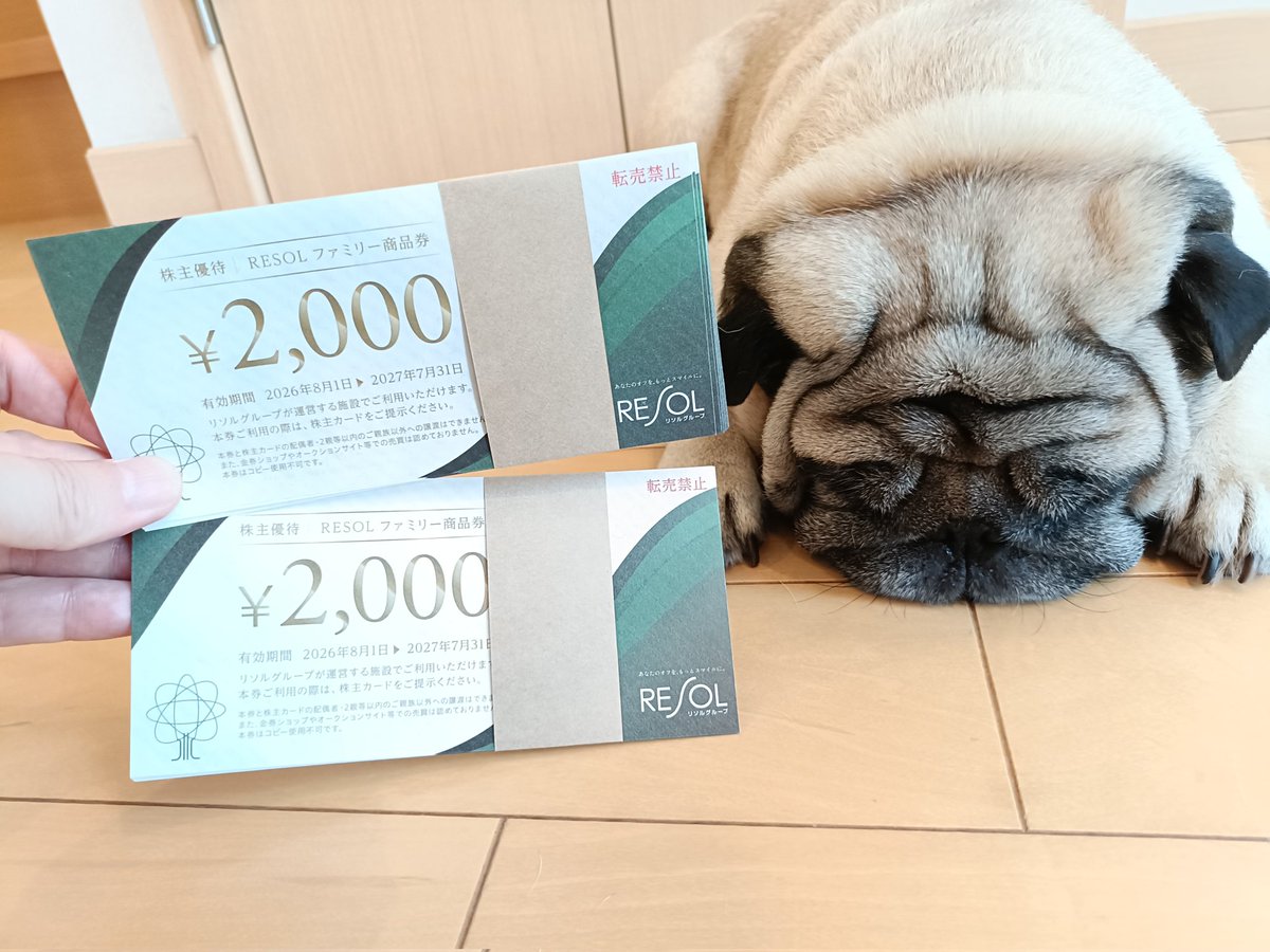リソル株主優待券 2万円分 リソル 株主優待 20，000円分 株主