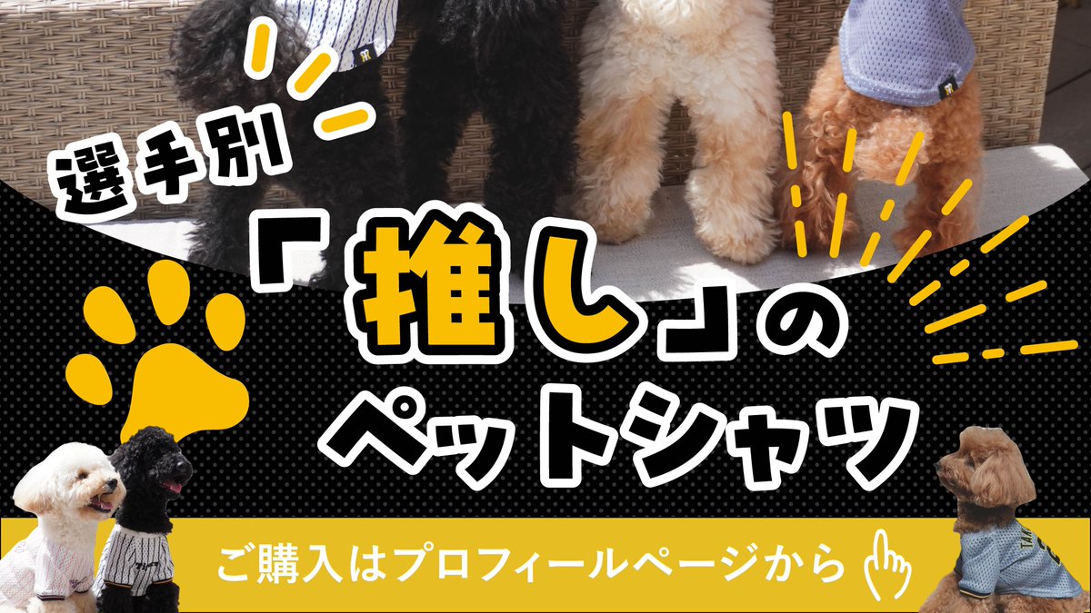 Kotaroshop's tweet photo. 🐯全支配下選手から推しが選べる✨

大人気！#虎たろうSHOP の #阪神タイガース 承認ライセンス商品！
選手別「推し」のペットシャツ🐅

監督・コーチ陣から全支配下選手まで！
背番号が「選べる」ペットシャツです🐶🐱

詳細は画像クリック推奨🔥 https://t.co/Qnr17hFeAQ