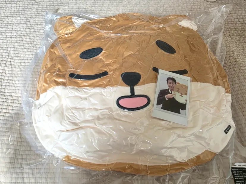 mrsjungchanwoo's tweet photo. size comparison among denimalz face cushion ke, giant ke and giant petit ke

YoungK polaroid looks so cute😭 https://t.co/3AnGfNZqjY