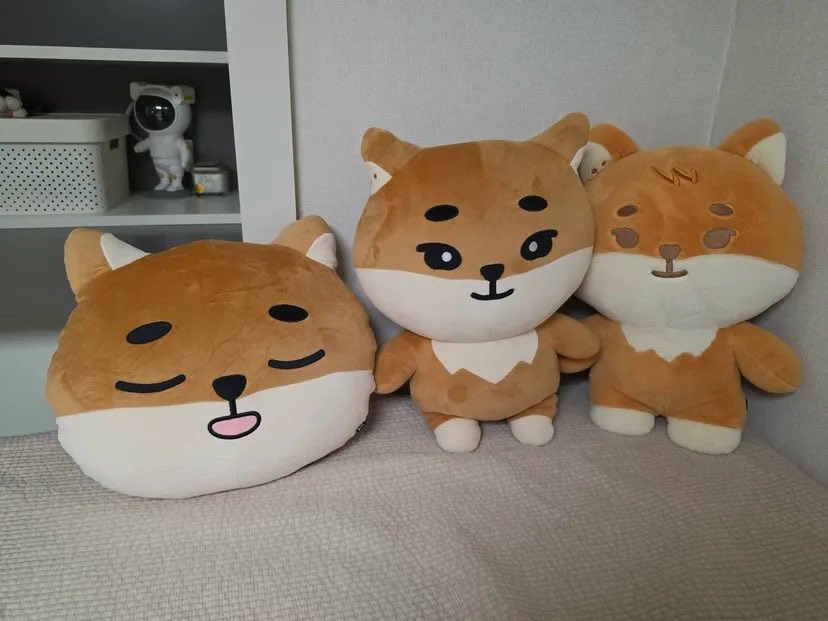 mrsjungchanwoo's tweet photo. size comparison among denimalz face cushion ke, giant ke and giant petit ke

YoungK polaroid looks so cute😭 https://t.co/3AnGfNZqjY