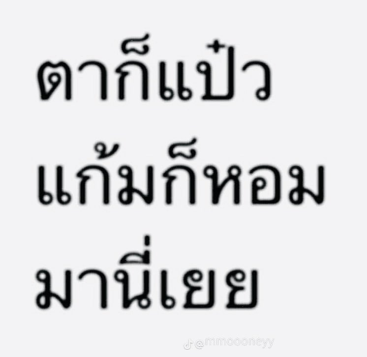 เมส้า tweet media