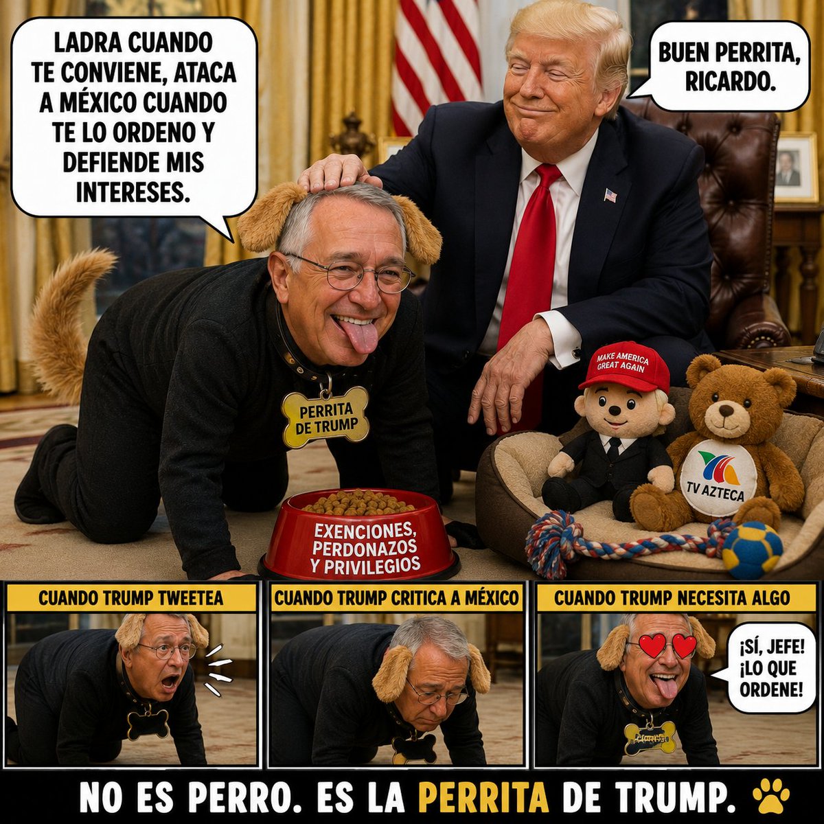 omarperez15880's tweet photo. @jcito007 #LaPerritaDeTrump https://t.co/M9sflg4Qti