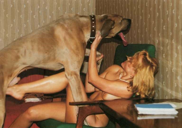 Dogknottlove's tweet photo. HMU on TG=https://t.co/43o3qvPiKJ
To see how I got nailed by my dogs 🐕 🍆💦🐾🐾🔞💋💦💦
#doglovers #dogsofinstagram

#dogs

#puppylove

#doglife

#dogstagram

#puppies

#instadog

#doggo

#petlover

#cutedogs #doglifestyle

#dogphotography

#woof

#doglover

#happydog https://t.co/hvCulwMrY6